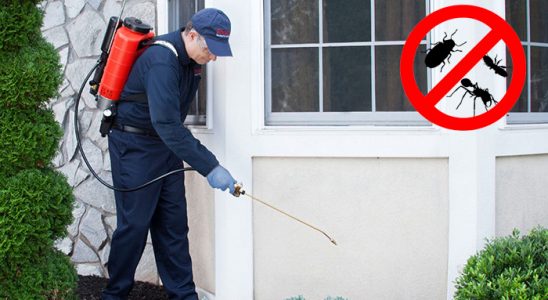 Toroslar Kene İlaçlama böcek ilaçlama ve haşere kontrolü — ilaclama-tr.com
